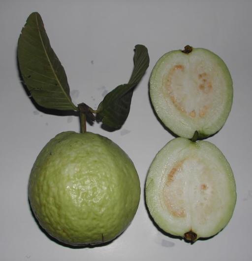 Guava